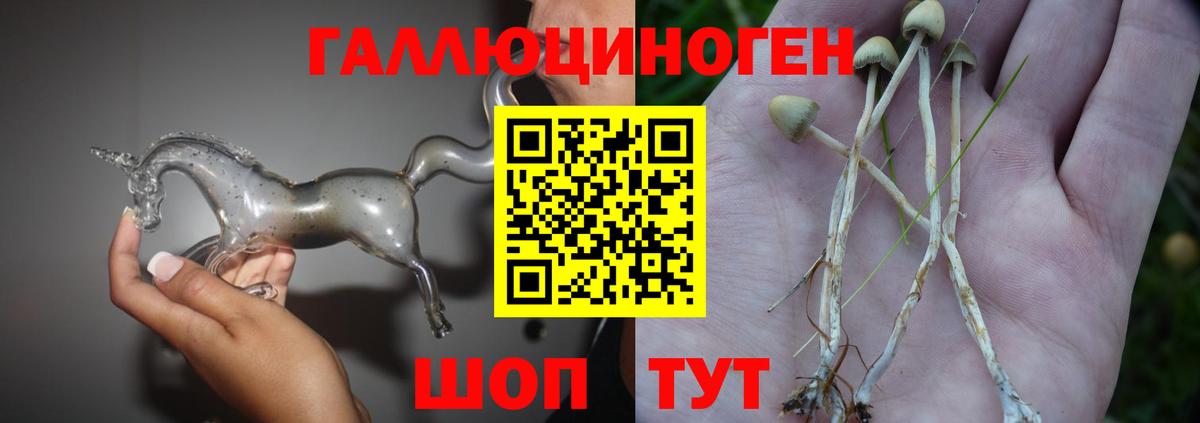 Псилоцибиновые грибы мицелий  Вход с VPN  Дербент 