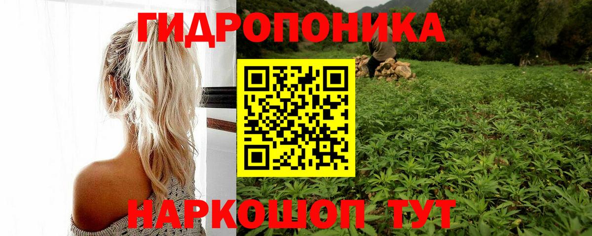 Конопля Ganja  Вход с VPN  Конопля сатива  Шишки марихуана гибрид  Дербент 